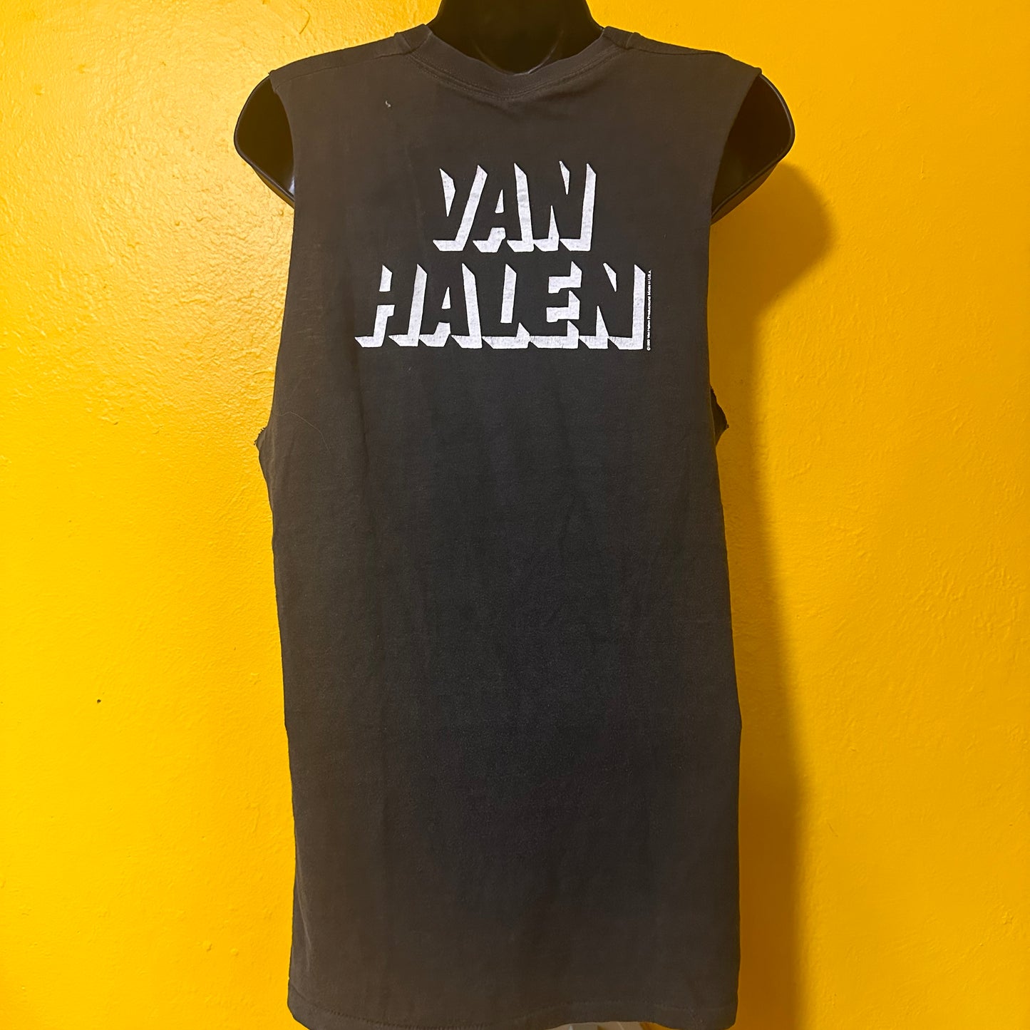 1980 Vintage Van Halen Cut off Muscle Tee