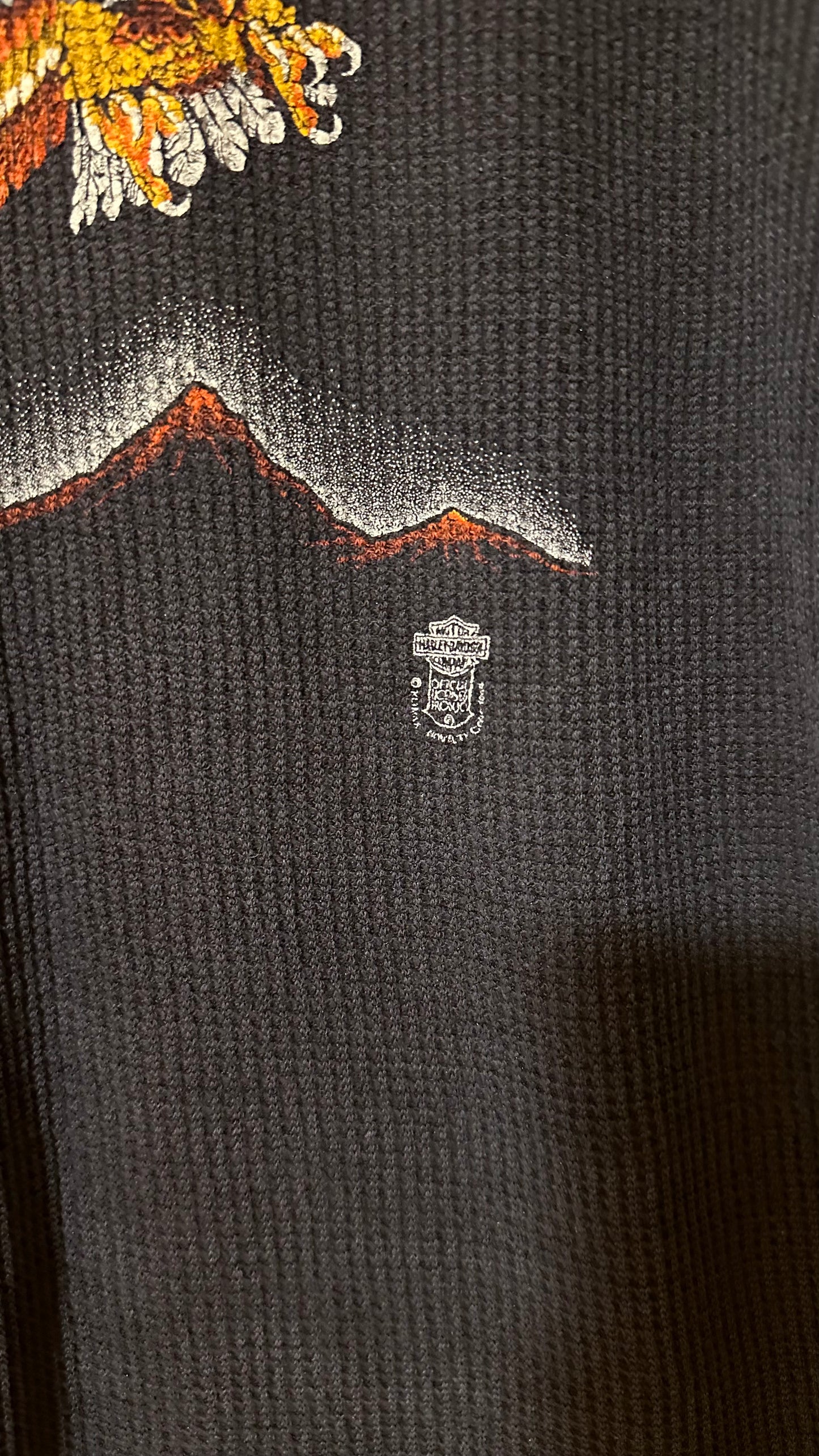 Vintage 1980s Harley Davidson Soaring Eagle Waffle Knit M