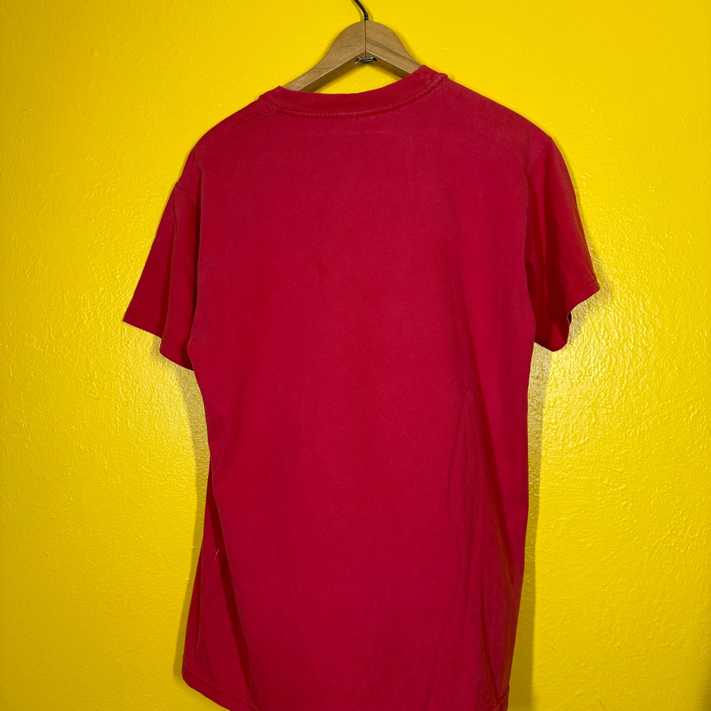 Vintage 1990s Blink 182 Birdhouse Rip Skate Band Tee Sz M