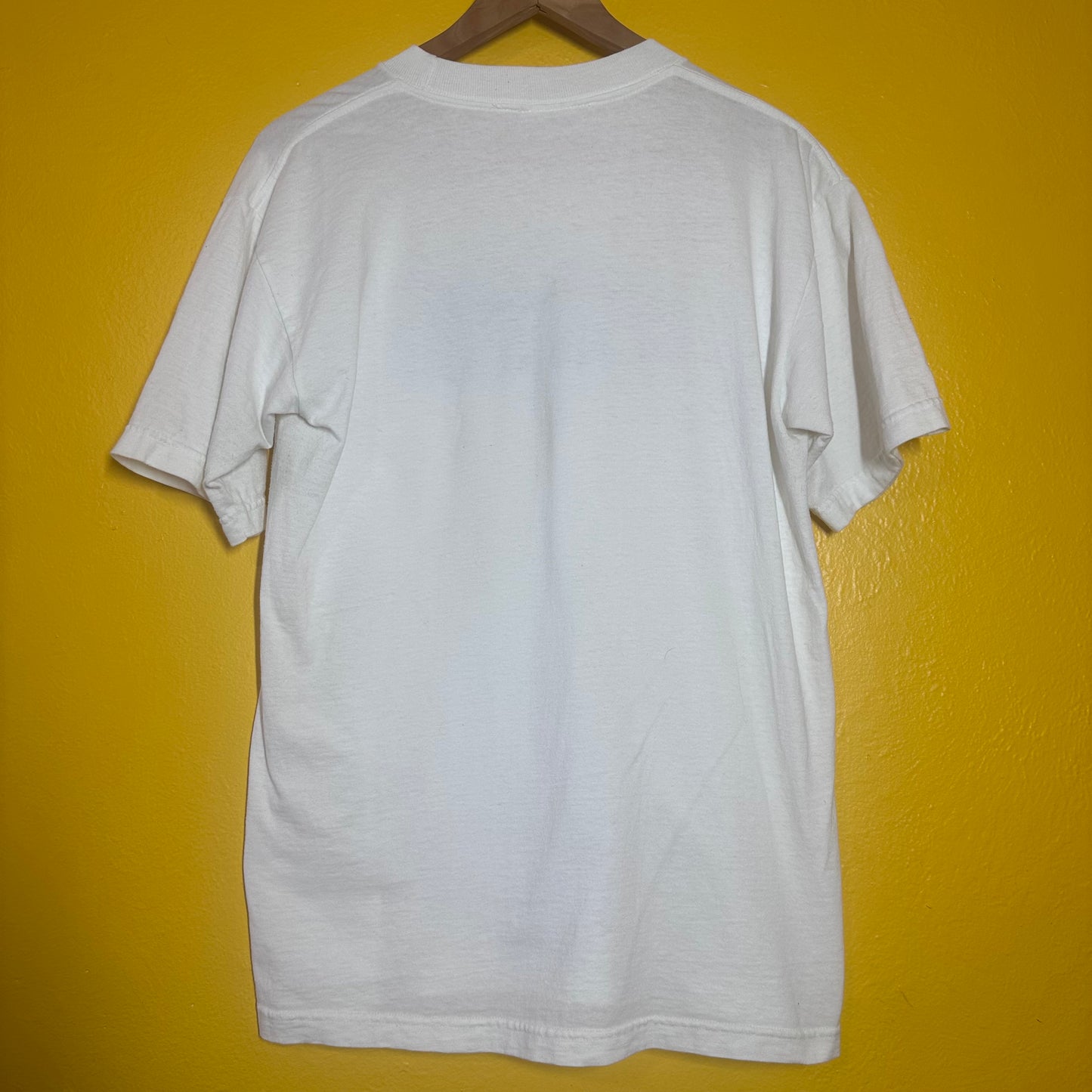 Vintage Porn Star Flame Skate Tee 1990s Sz L