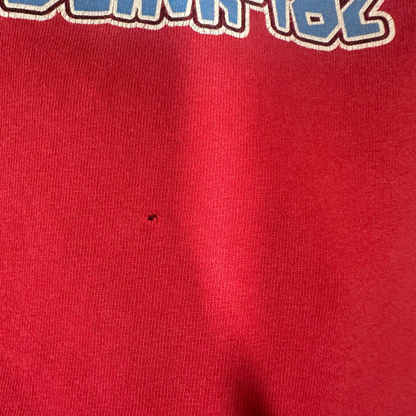 Vintage 1990s Blink 182 Birdhouse Rip Skate Band Tee Sz M
