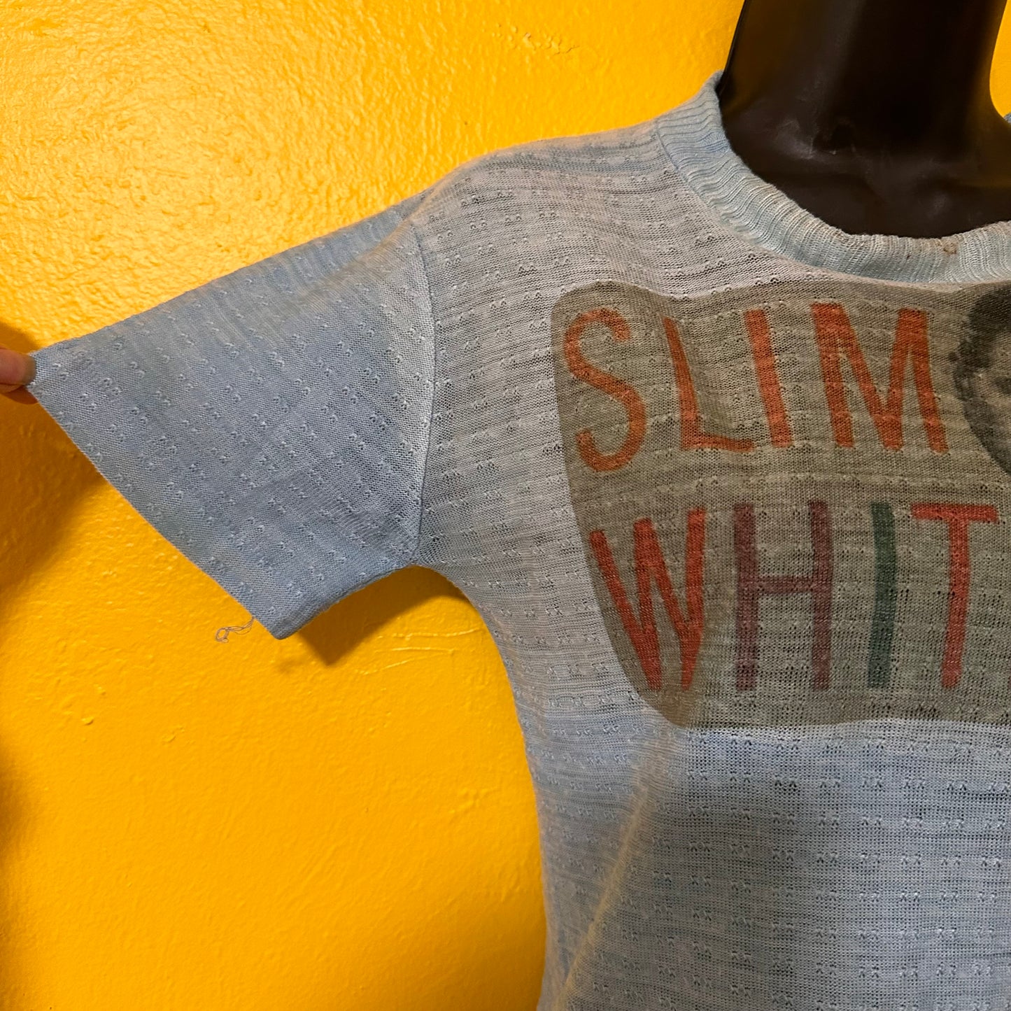 Vintage Blue Baby Tee with Slim Whitman Print S
