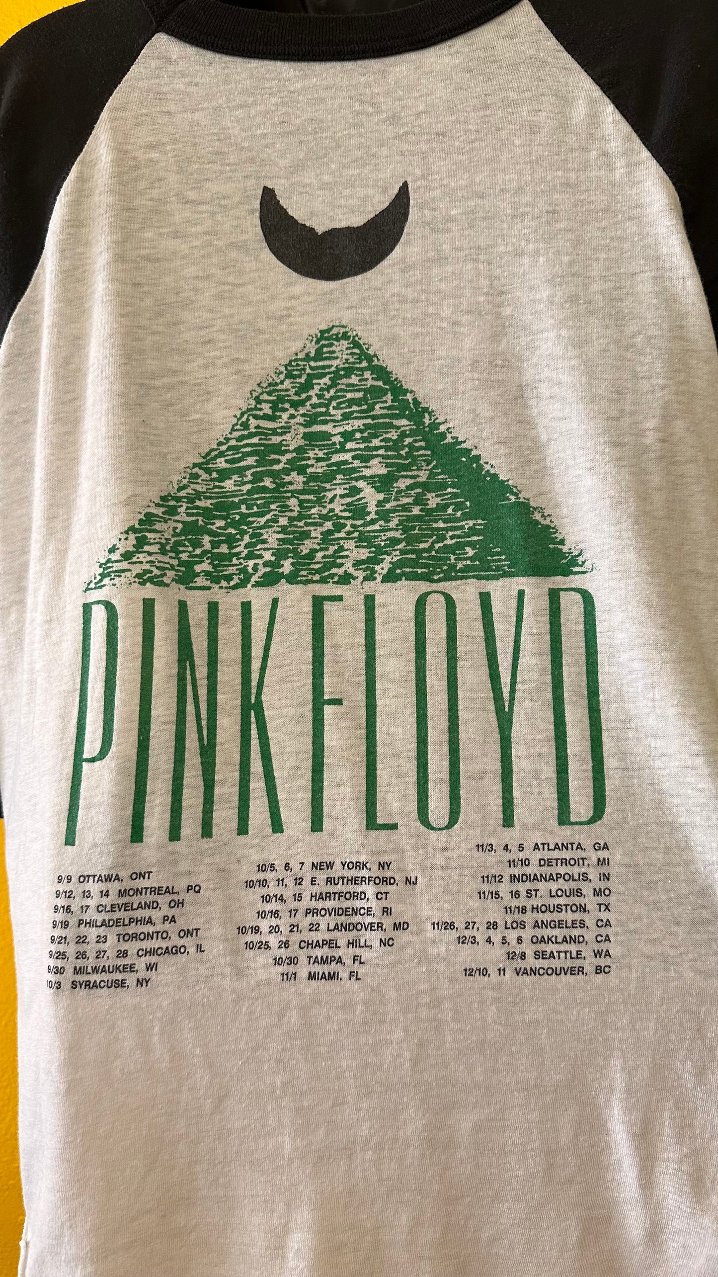 1987 Pink Floyd Vintage Single Stitch Raglan M