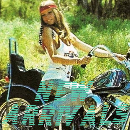 Vintage Patchwork Harley Davidson Purse – ShopLuckyDrive