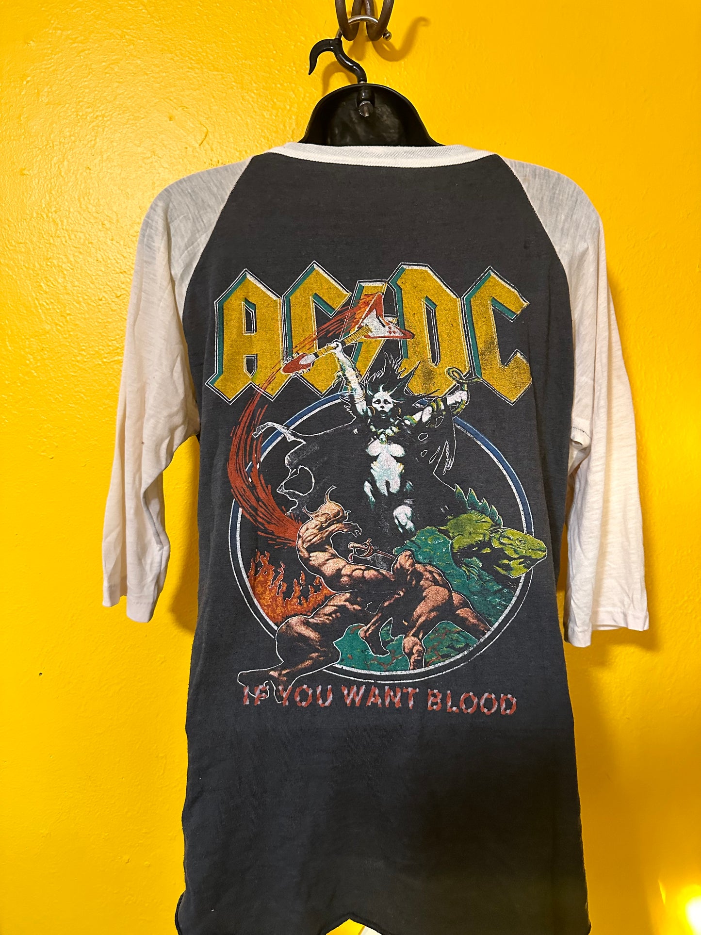 1980s Ac/Dc Boris Vallejo Raglan Single Stitch Vintage M