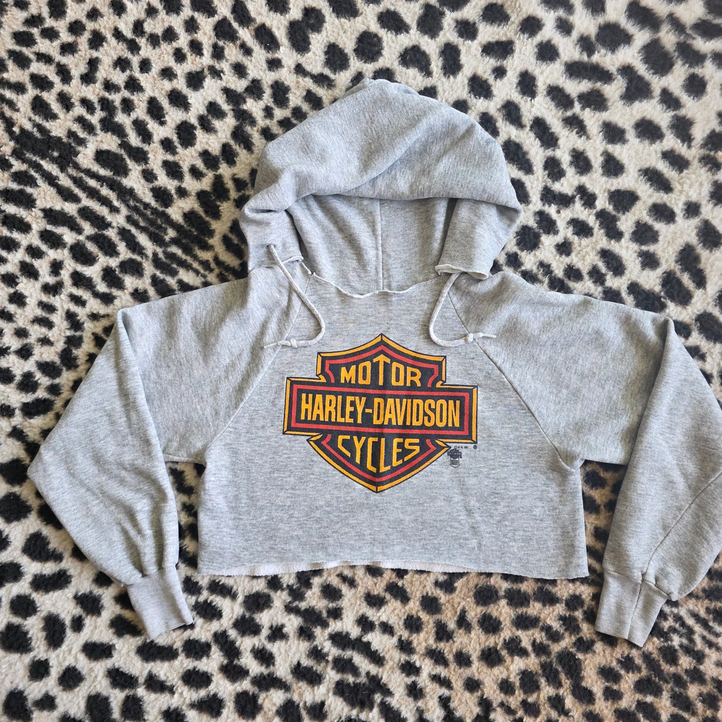 1982 Harley Davidson Raglan Hoodie Cropped